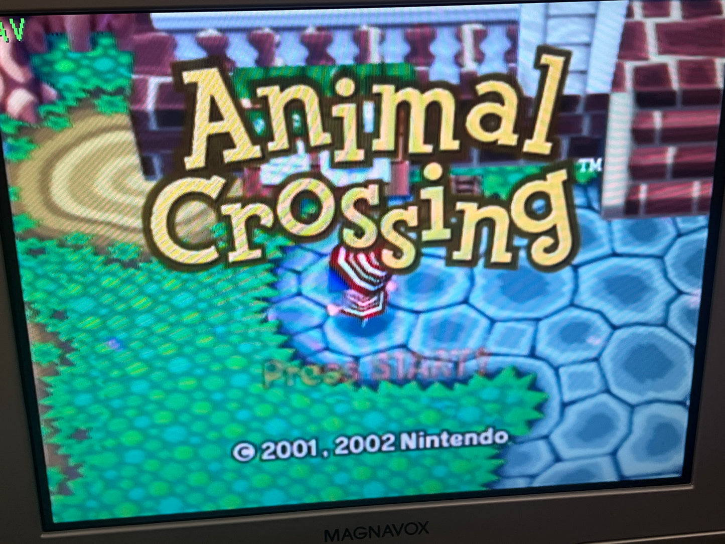 Animal Crossing GameCube black label CIB
