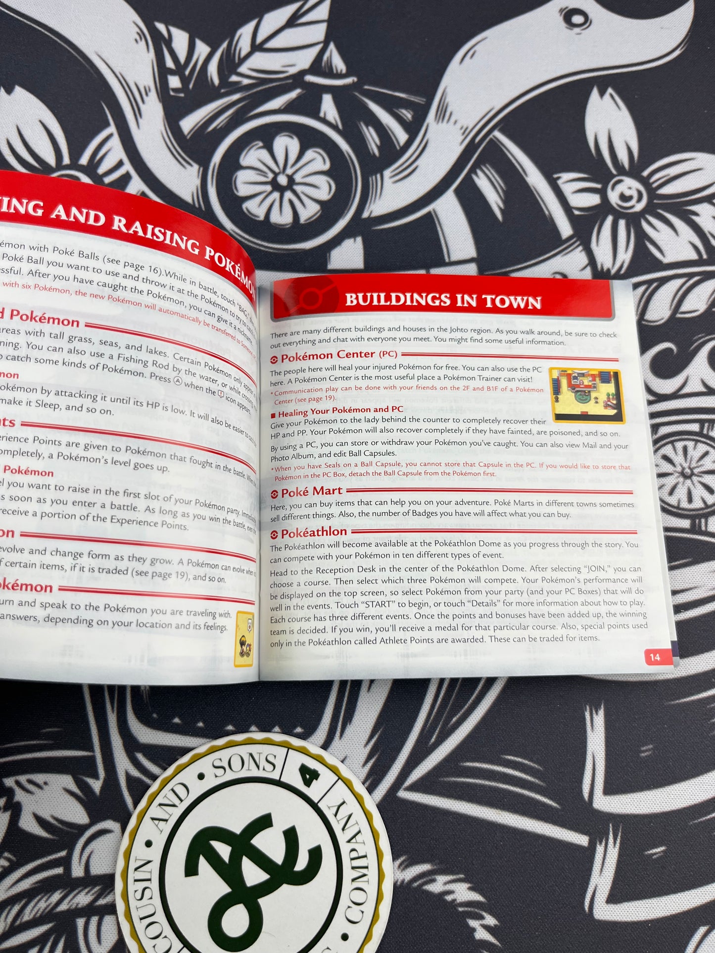 Pokémon Soul Silver Okay Manual