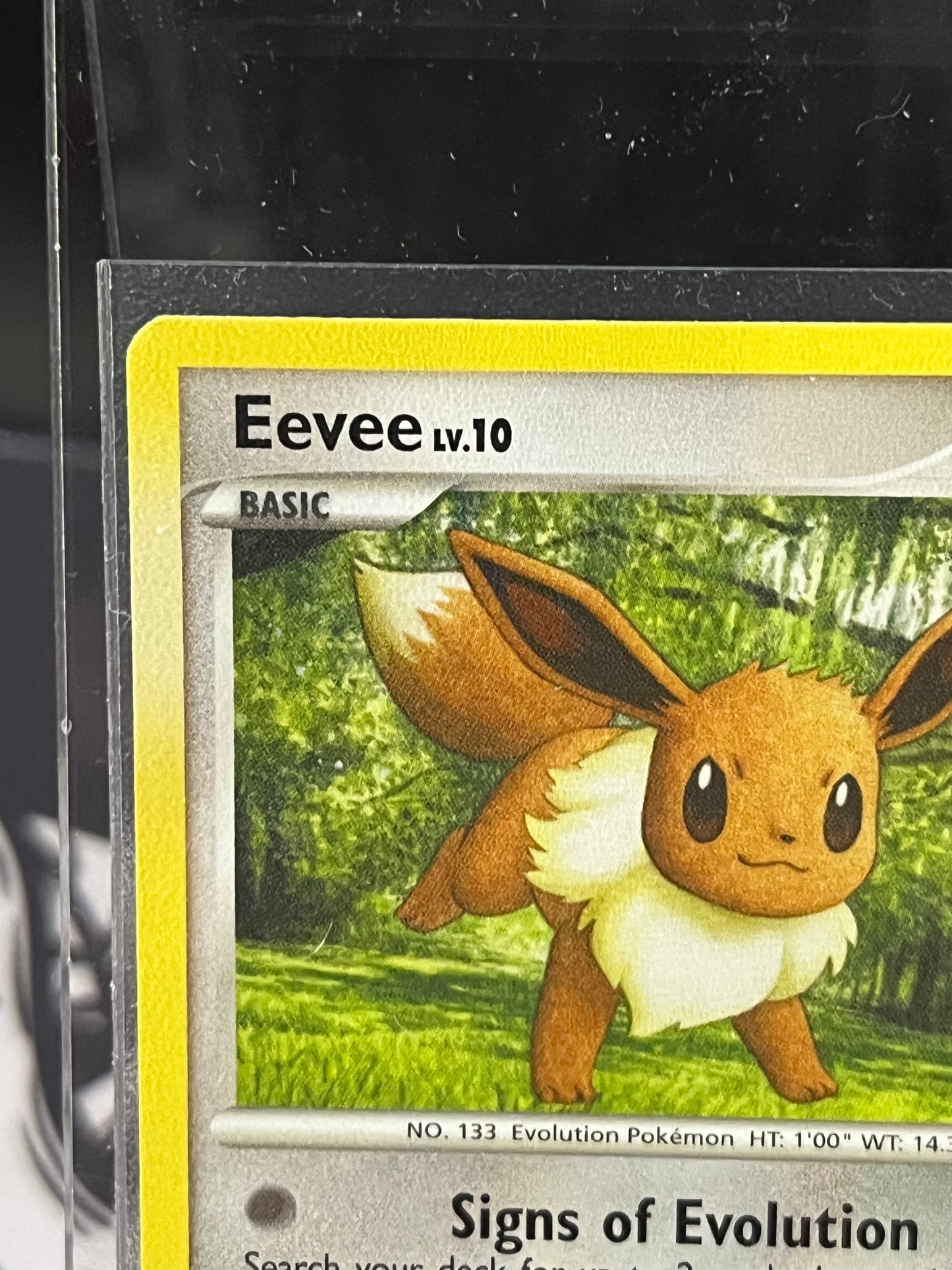 Eevee 59/111 NM