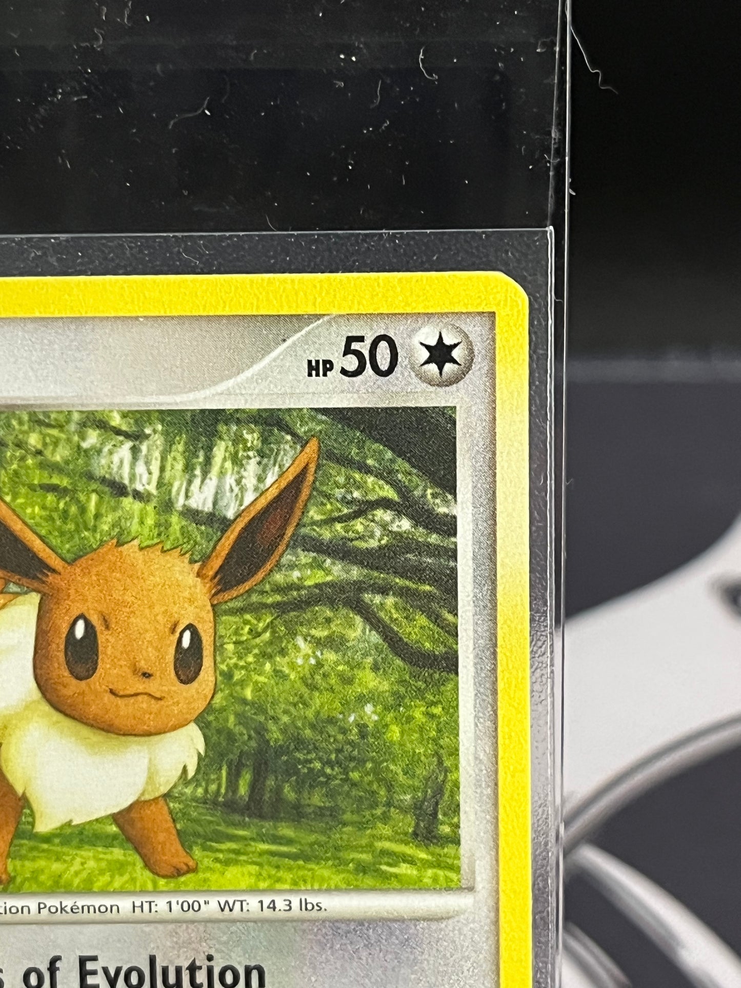 Eevee 59/111 NM