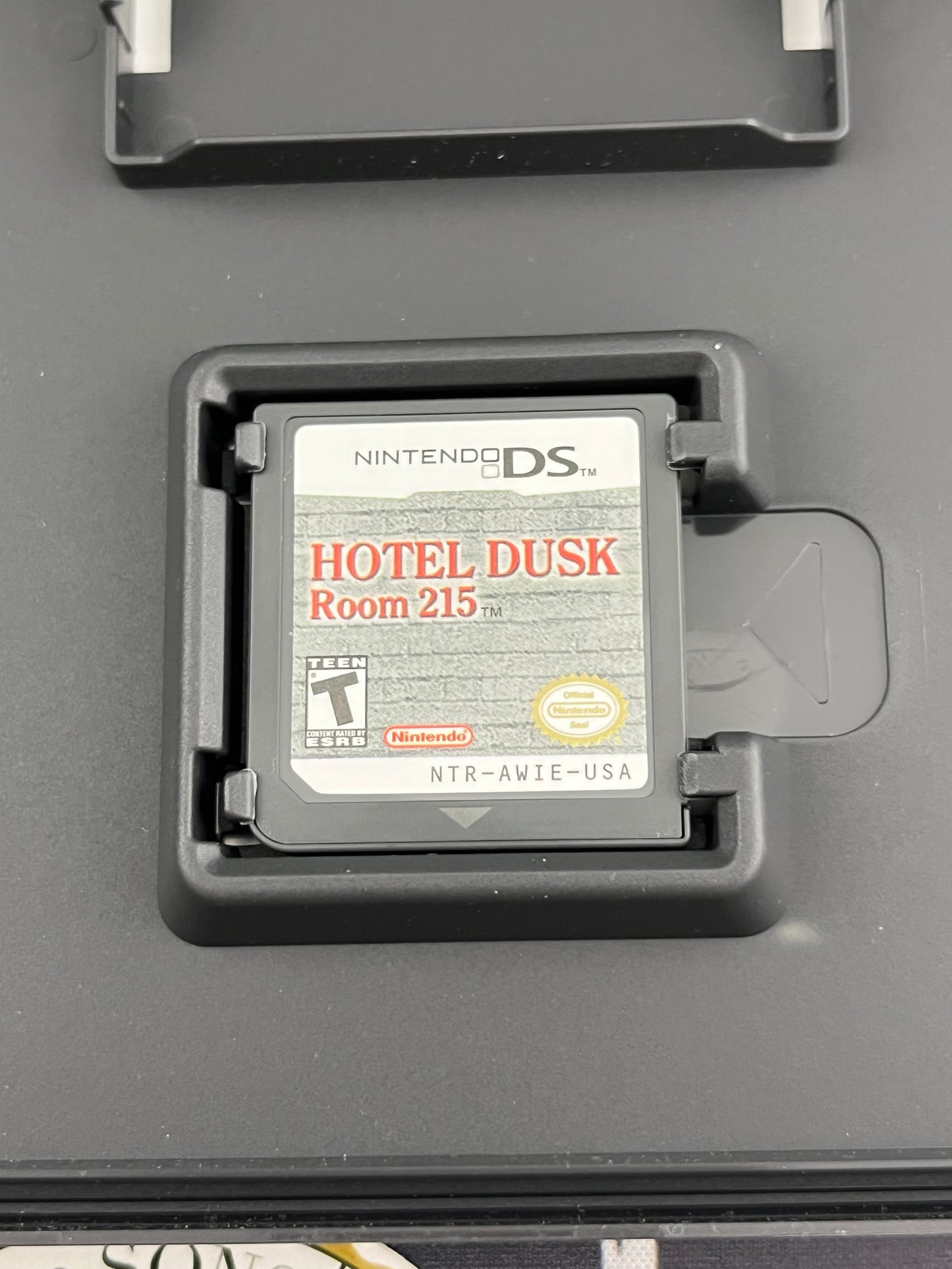 Hotel Dusk Room 215 DS CIB