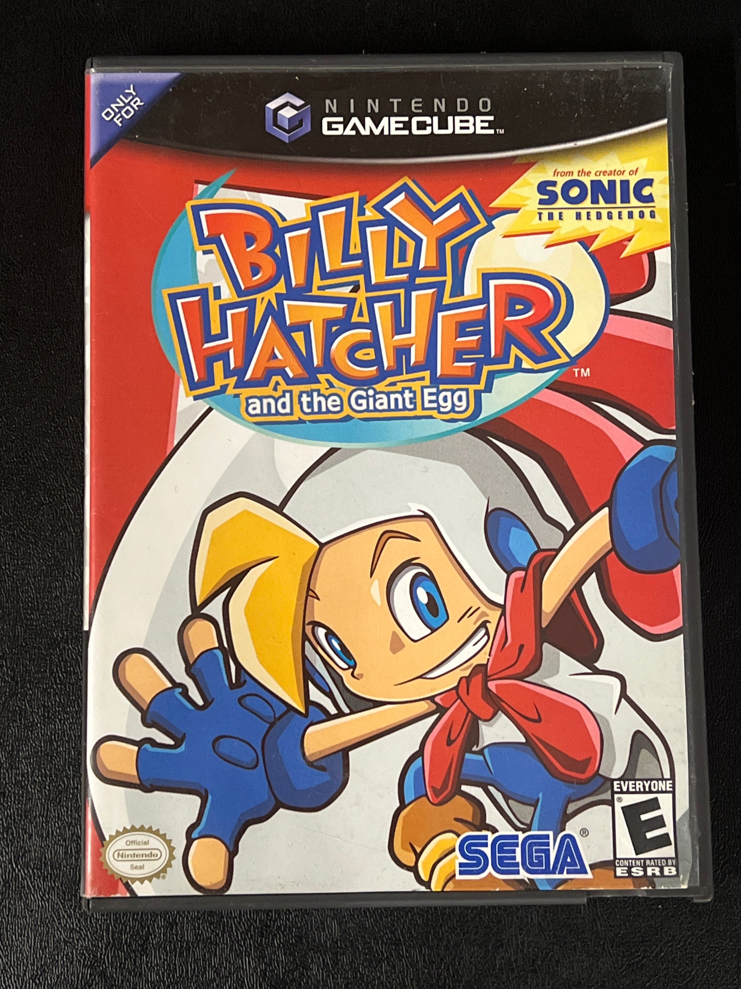 Billy Hatcher and the Giant Egg - GameCube