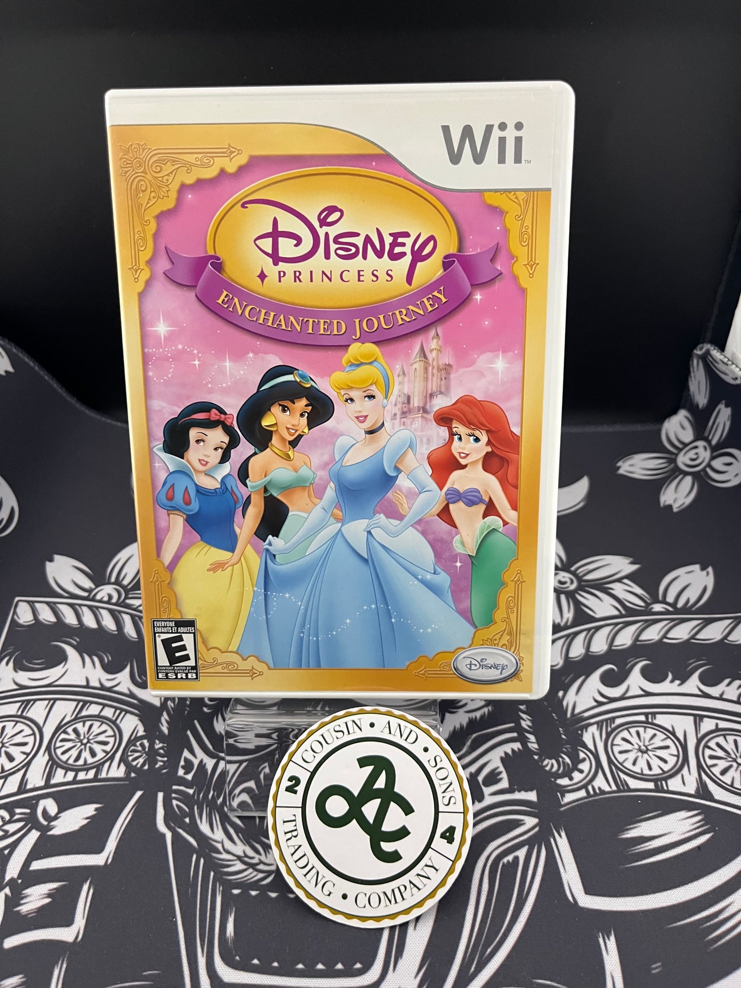 Disney Princess Enchanted Journey Wii CIB