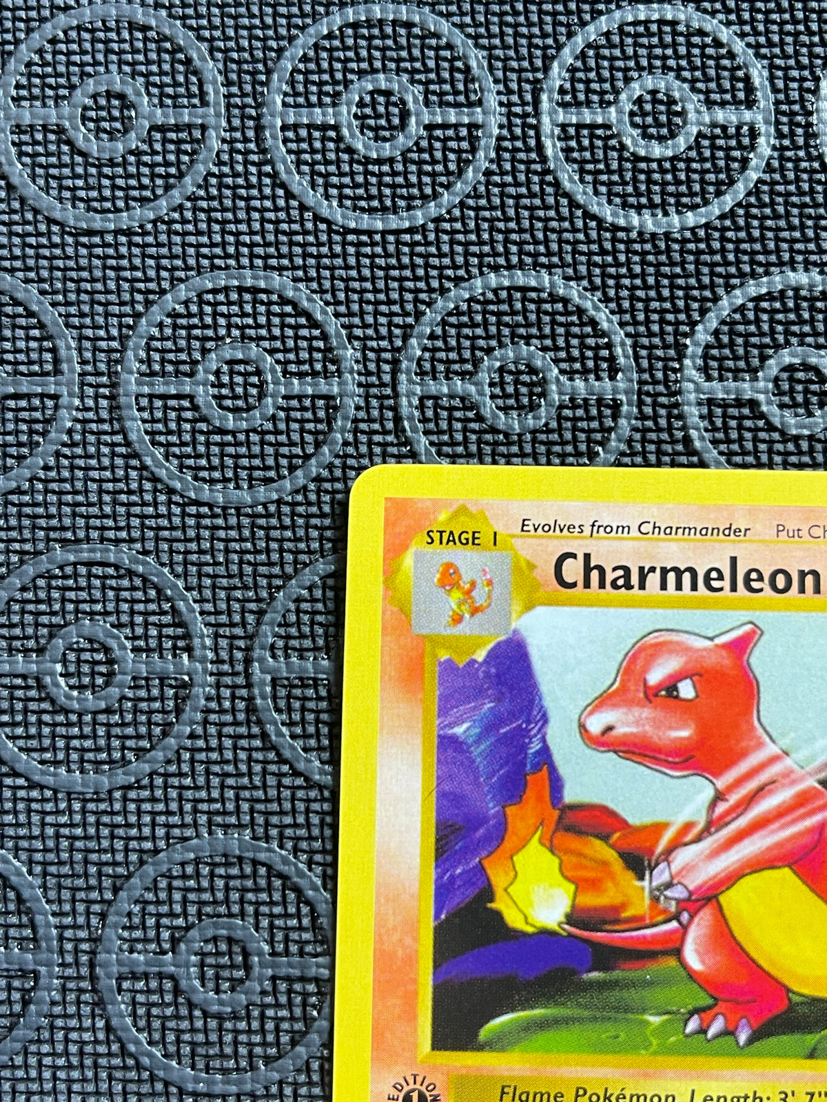 Charmeleon - 1st Edition Shadowless Base Set 24/102 NM