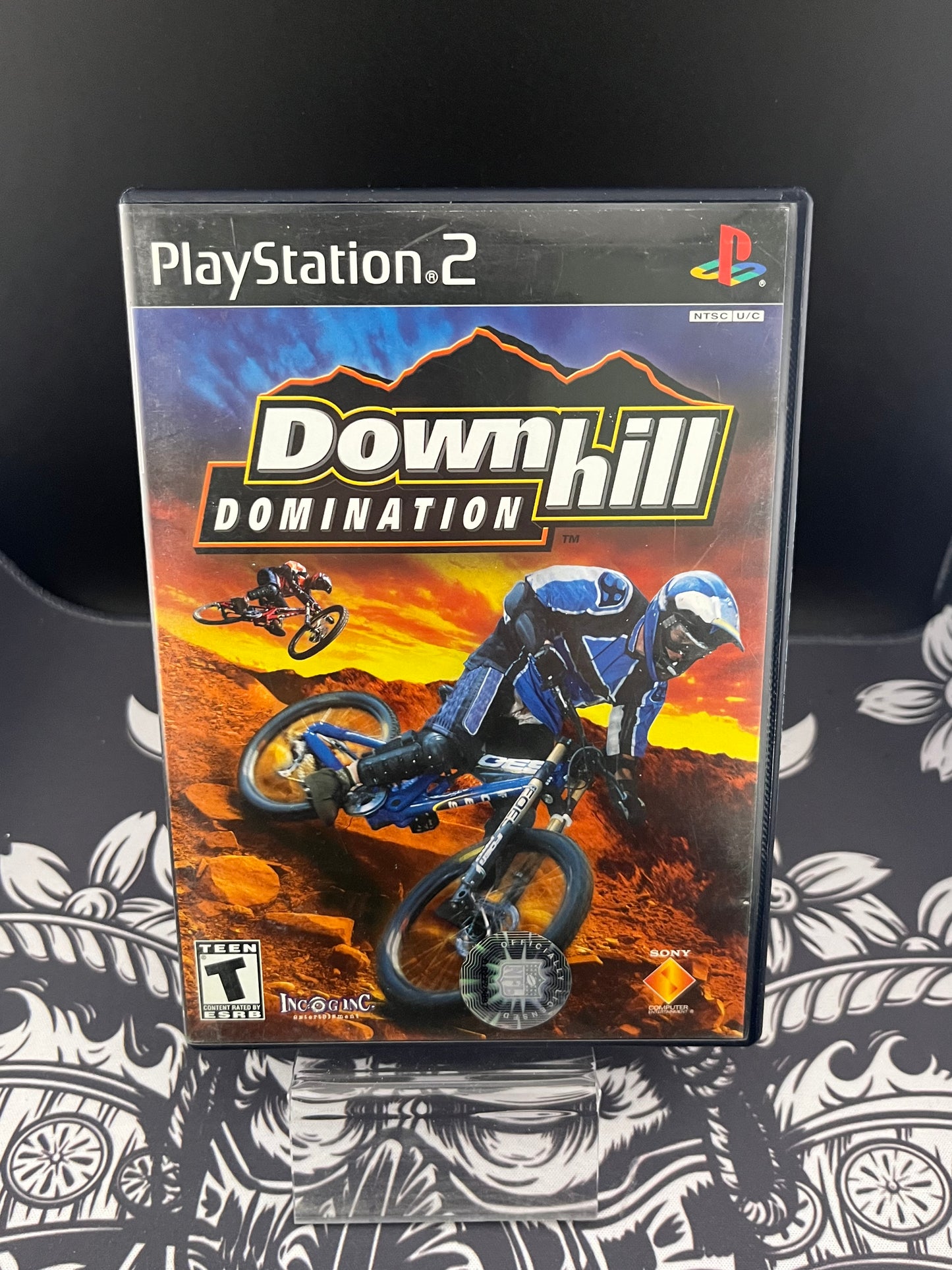 Downhill Domination PS2 CIB