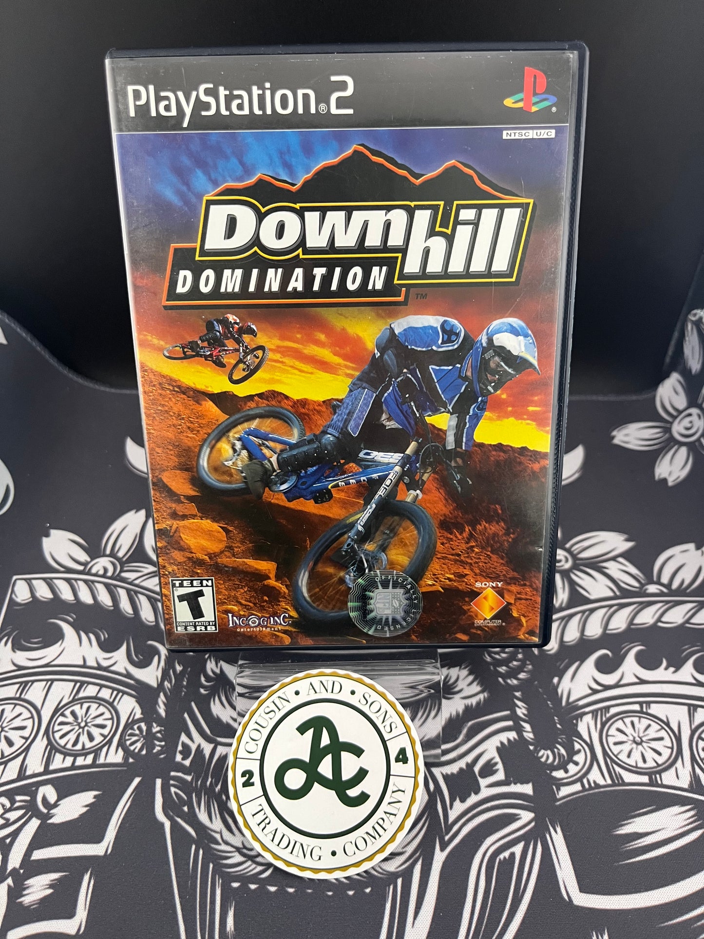 Downhill Domination PS2 CIB