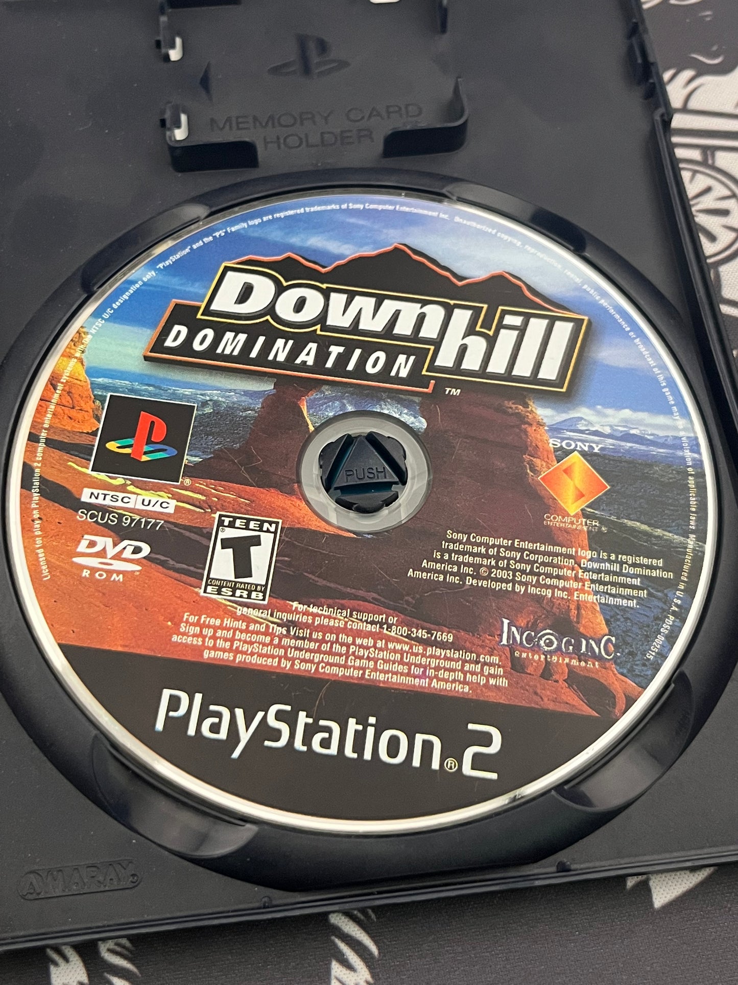 Downhill Domination PS2 CIB