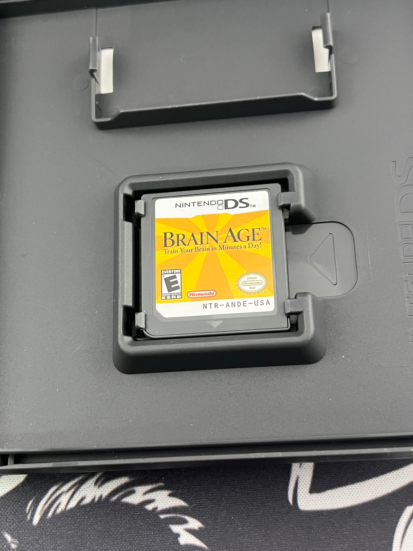 Brain Age DS CIB