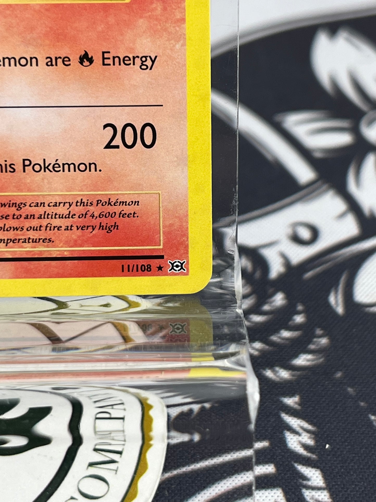 Charizard Holo 11/108 NM