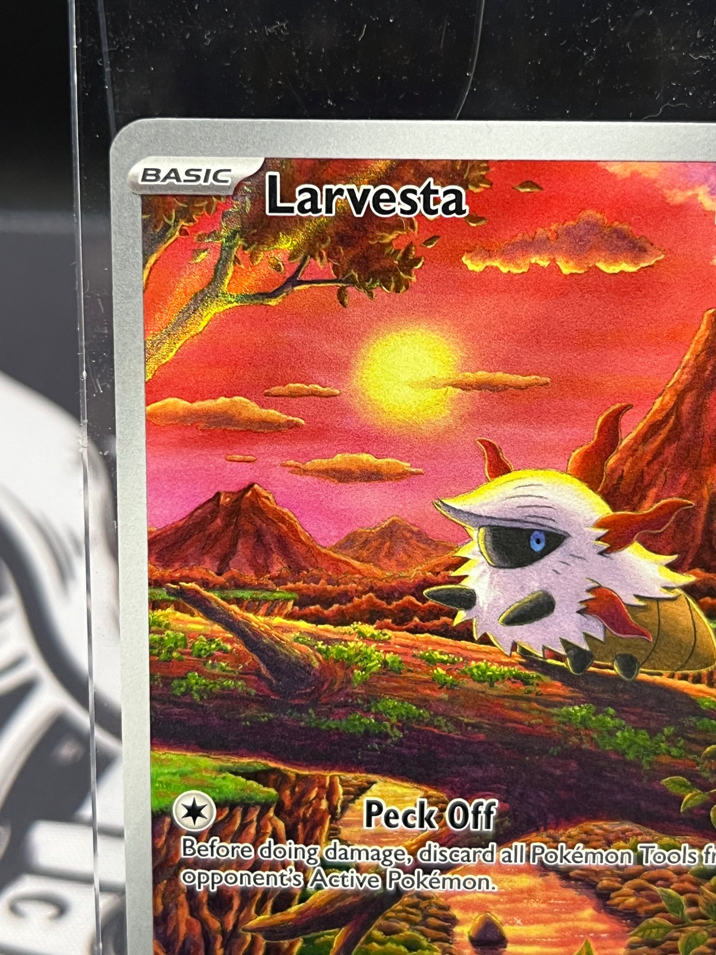 Larvesta 099/086 Illustration Rare Near Mint