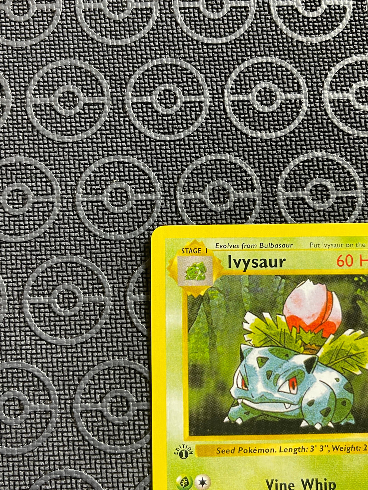 Ivysaur- 1st Edition Shadowless Base Set 30/102  NM