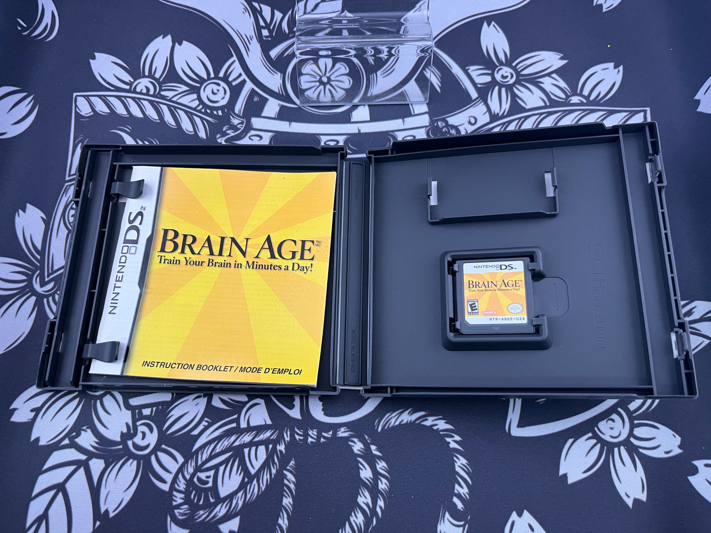 Brain Age DS CIB