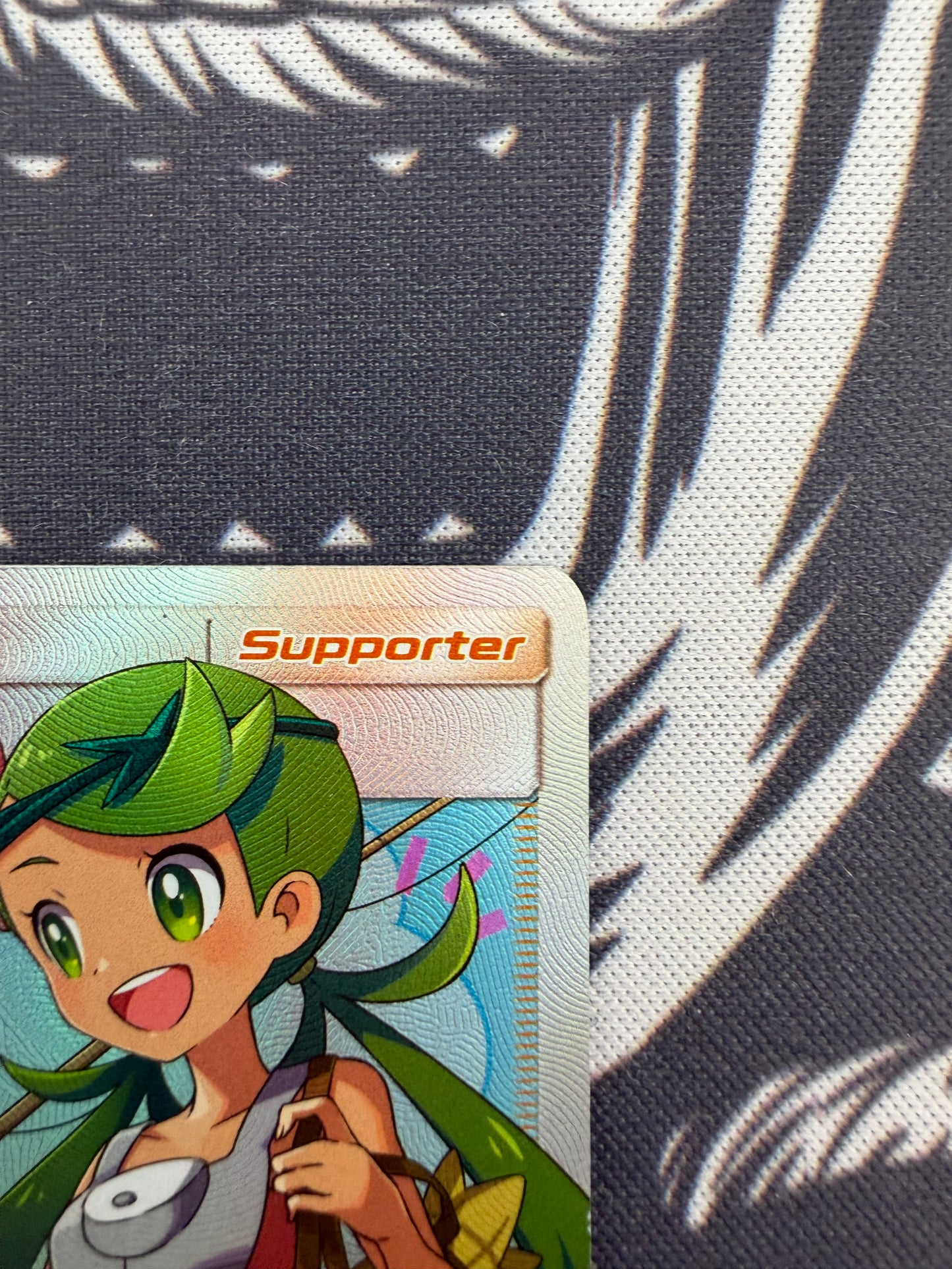 Mallow & Lana -  231/236 NM