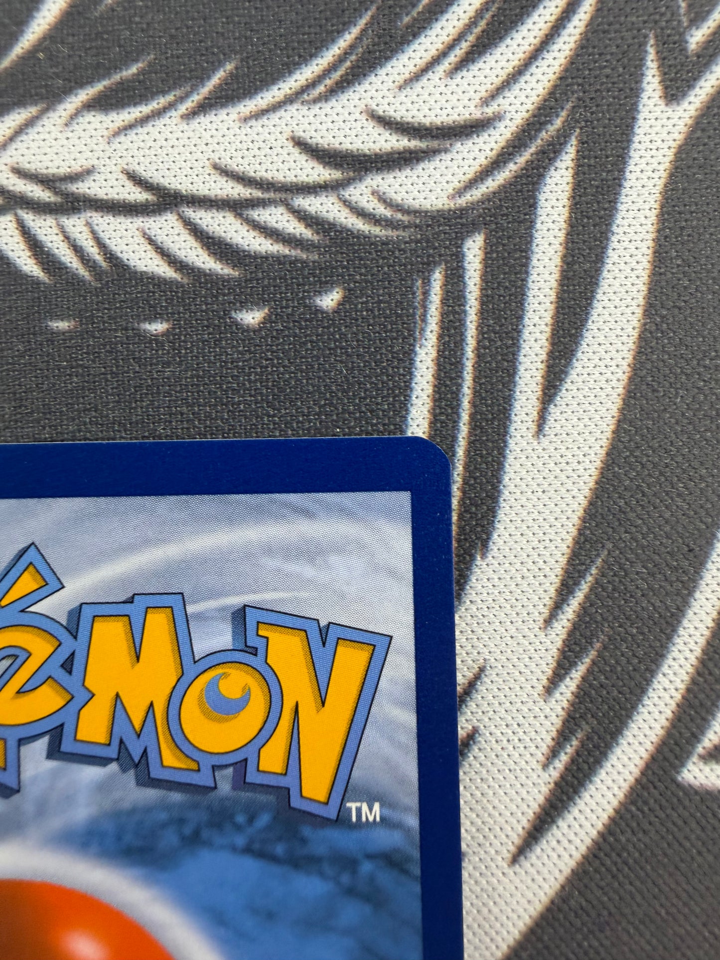 Mallow & Lana -  231/236 NM