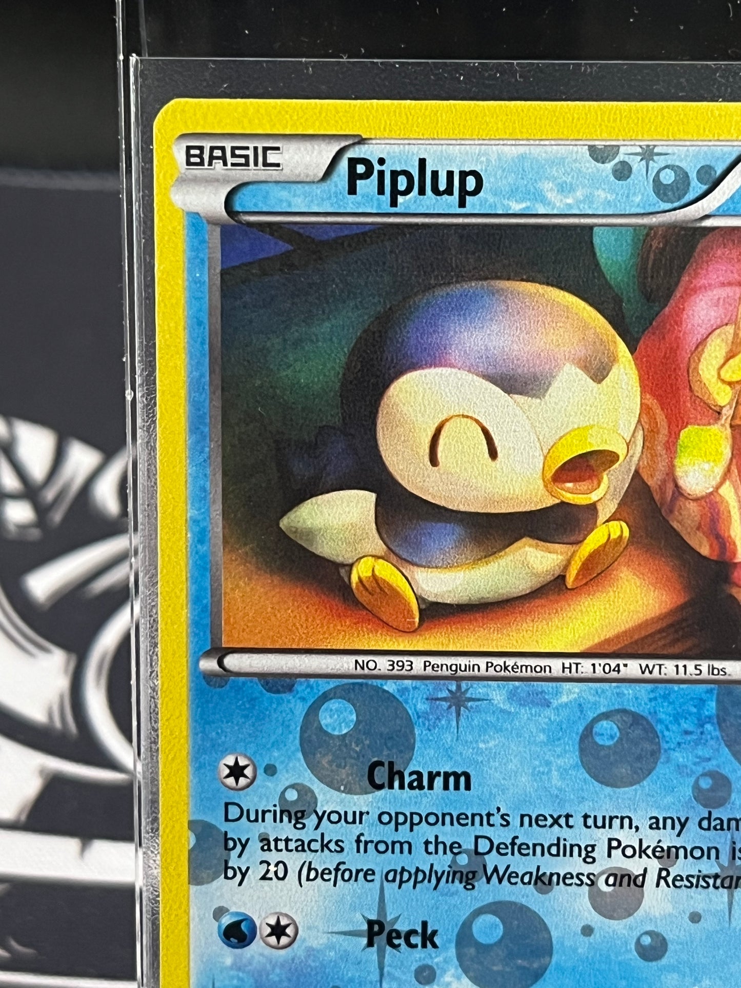 Piplup RC6/RC25
