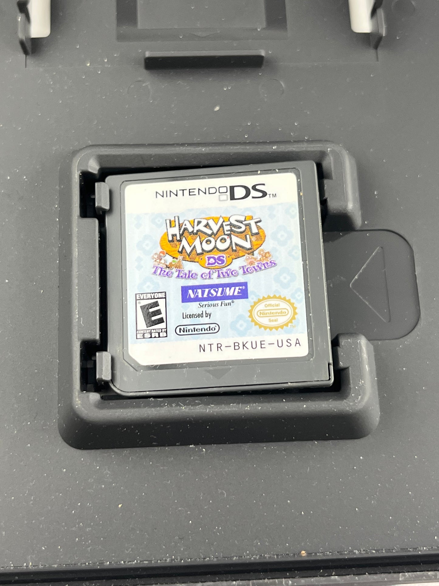 Harvest Moon The Tale of Two Towns DS CIB