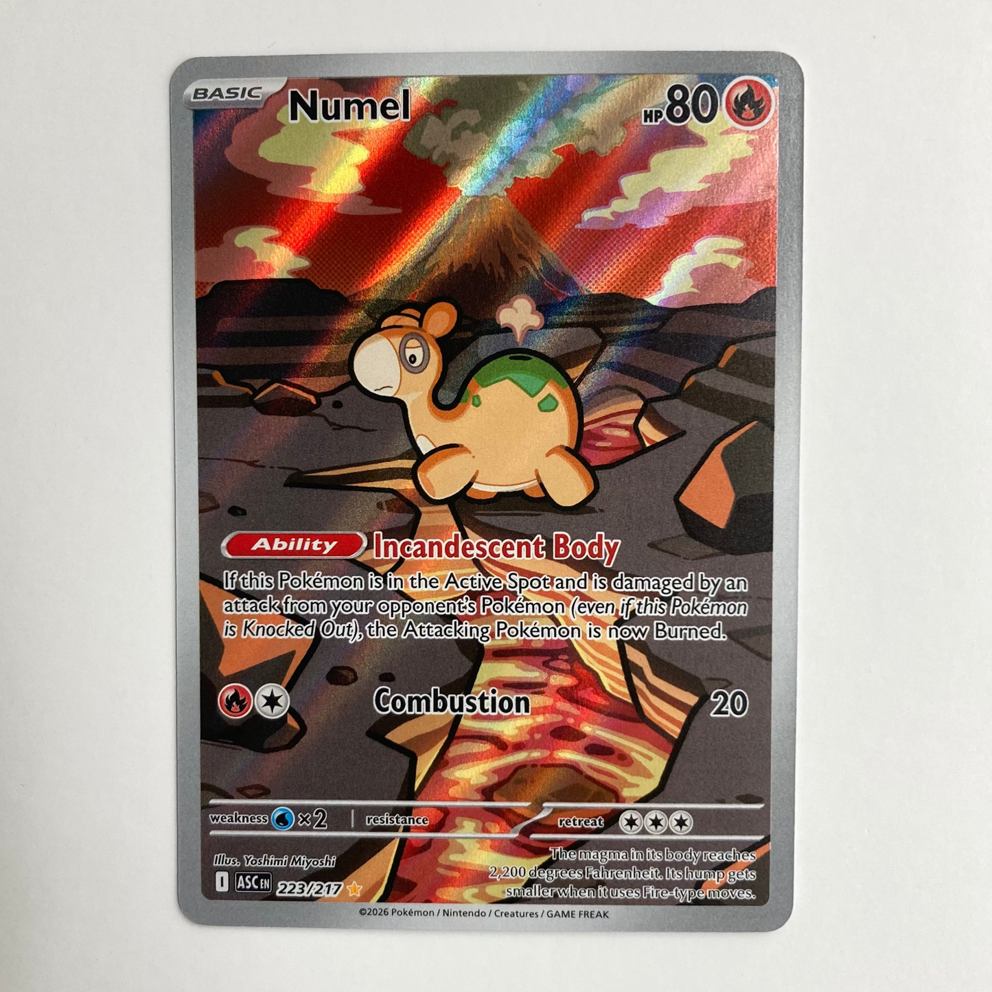 Numel - 223/217 - ME: Ascended Heroes (ASC)
